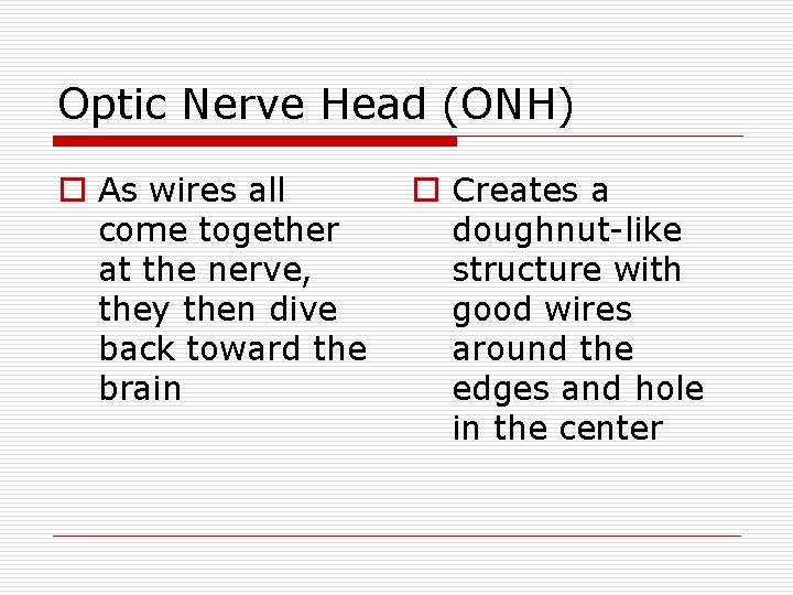 Optic Nerve Head (ONH) o As wires all come together at the nerve, they