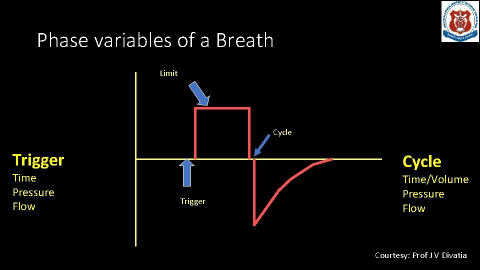 Phase variables of a Breath Limit Inspiration Time Pressure Flow (L/min) Trigger Cycle Time