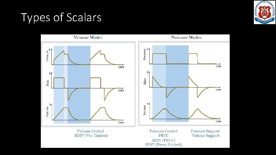 Types of Scalars 