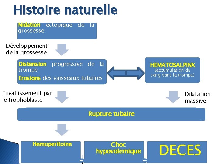 Histoire naturelle Nidation ectopique grossesse de la Développement de la grossesse Distension progressive de