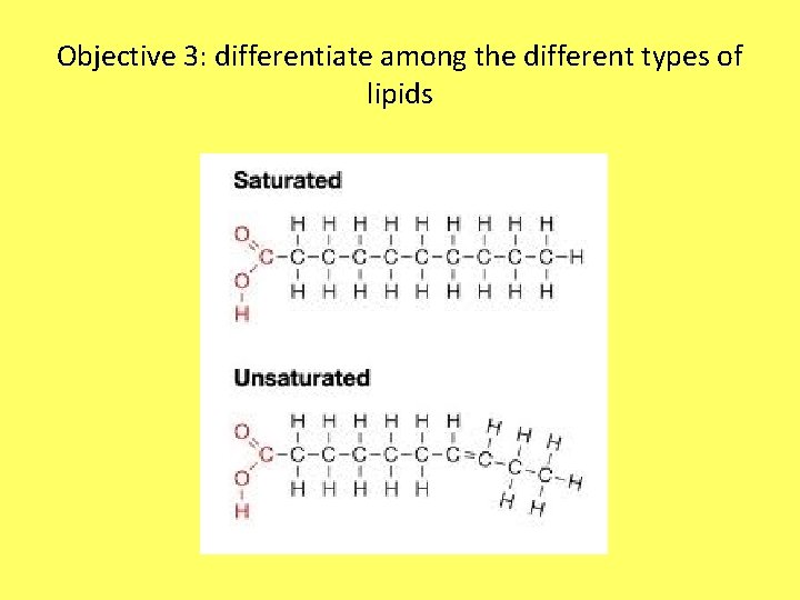Objective 3: differentiate among the different types of lipids 