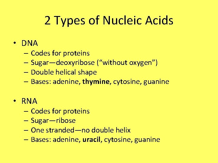 2 Types of Nucleic Acids • DNA – Codes for proteins – Sugar—deoxyribose (“without