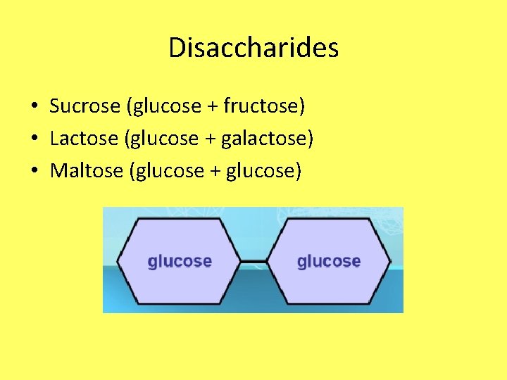 Disaccharides • Sucrose (glucose + fructose) • Lactose (glucose + galactose) • Maltose (glucose