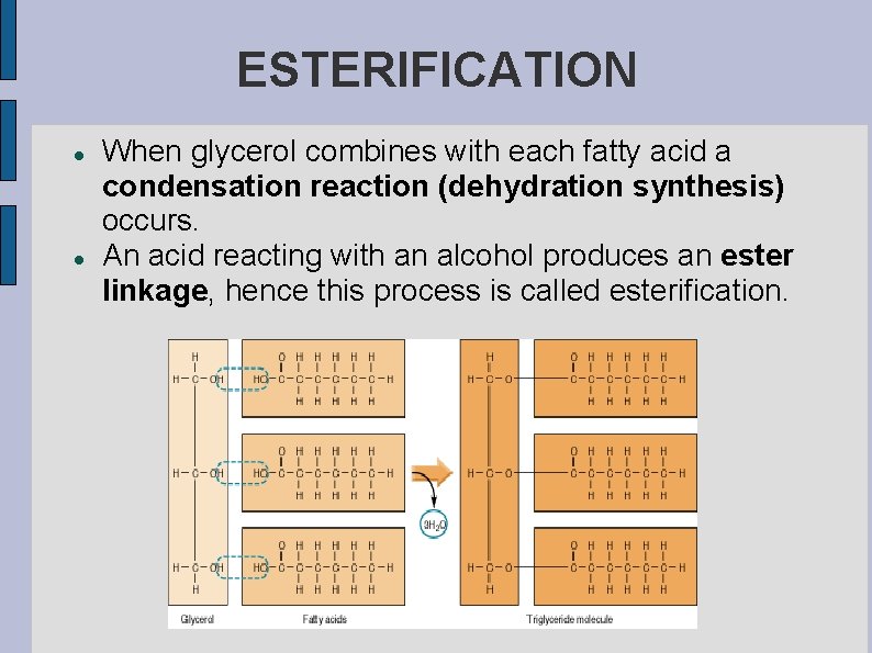 LIPIDS Hydrophobic nonpolar molecules Used for energy storage