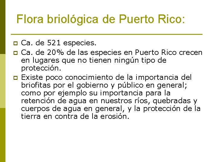 Flora briológica de Puerto Rico: p p p Ca. de 521 especies. Ca. de
