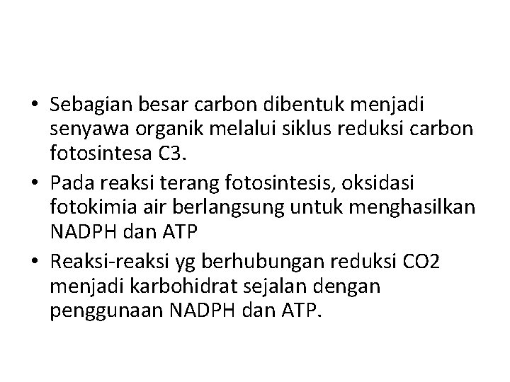  • Sebagian besar carbon dibentuk menjadi senyawa organik melalui siklus reduksi carbon fotosintesa