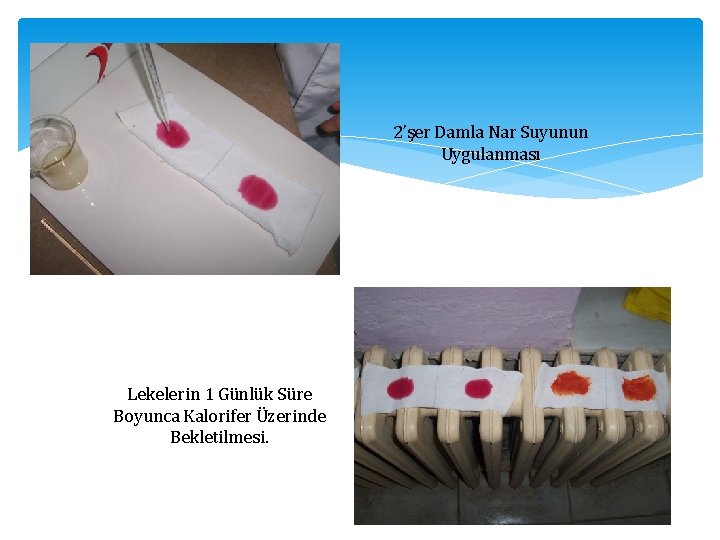 2’şer Damla Nar Suyunun Uygulanması Lekelerin 1 Günlük Süre Boyunca Kalorifer Üzerinde Bekletilmesi. 