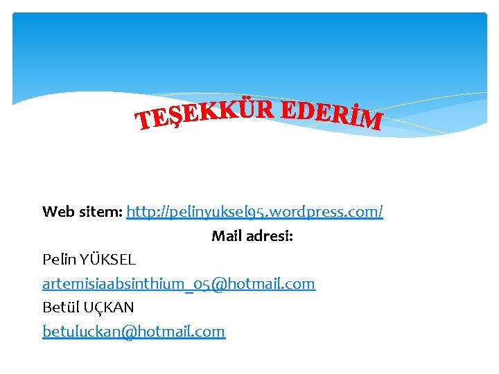 Web sitem: http: //pelinyuksel 95. wordpress. com/ Mail adresi: Pelin YÜKSEL artemisiaabsinthium_05@hotmail. com Betül
