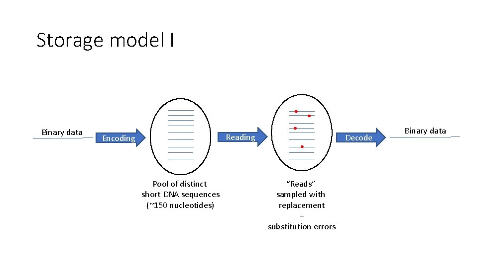 Storage model I Binary data Encoding P Pool of distinct short DNA sequences (~150