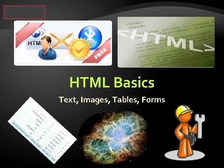 HTML Basics Text, Images, Tables, Forms 