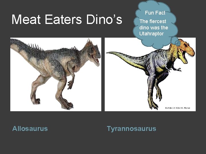 Meat Eaters Dino’s Allosaurus Fun Fact The fiercest dino was the Utahraptor Tyrannosaurus 