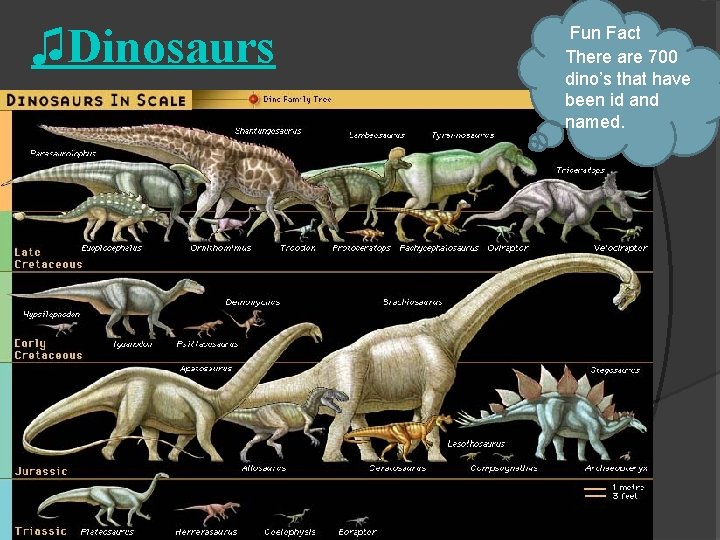 ♫Dinosaurs Fun Fact There are 700 dino’s that have been id and named. 