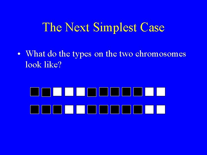 The Next Simplest Case • What do the types on the two chromosomes look