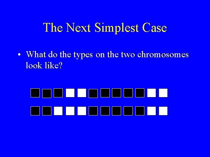 The Next Simplest Case • What do the types on the two chromosomes look