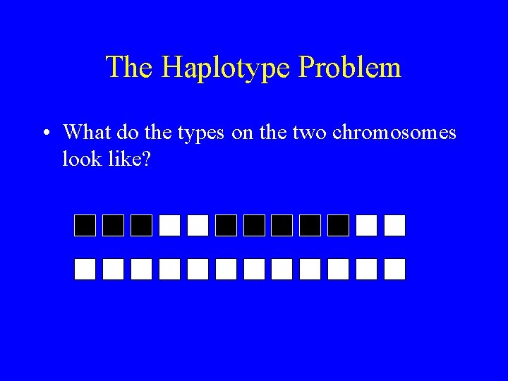 The Haplotype Problem • What do the types on the two chromosomes look like?