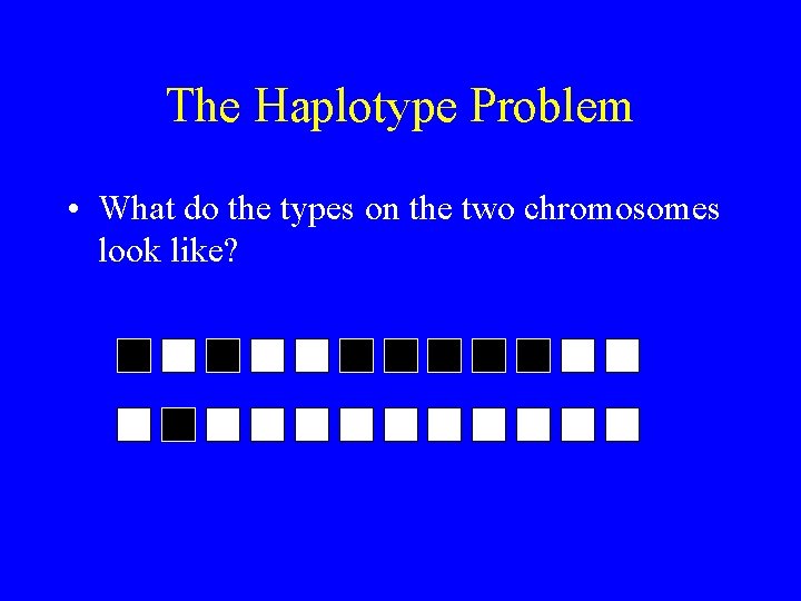 The Haplotype Problem • What do the types on the two chromosomes look like?