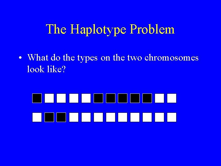 The Haplotype Problem • What do the types on the two chromosomes look like?
