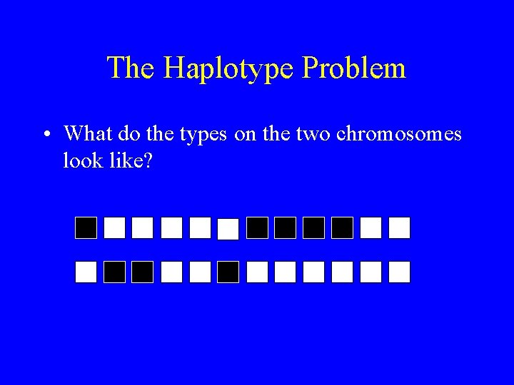 The Haplotype Problem • What do the types on the two chromosomes look like?