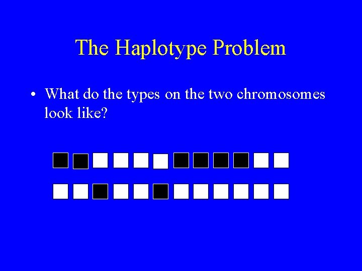 The Haplotype Problem • What do the types on the two chromosomes look like?