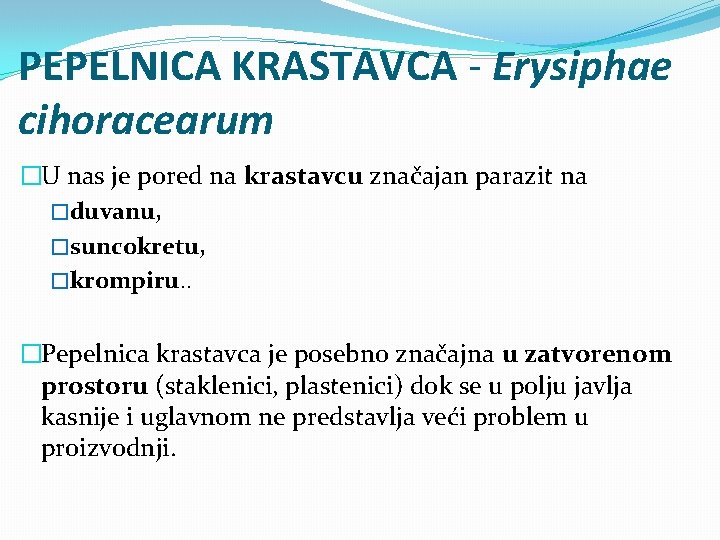 PEPELNICA KRASTAVCA - Erysiphae cihoracearum �U nas je pored na krastavcu značajan parazit na