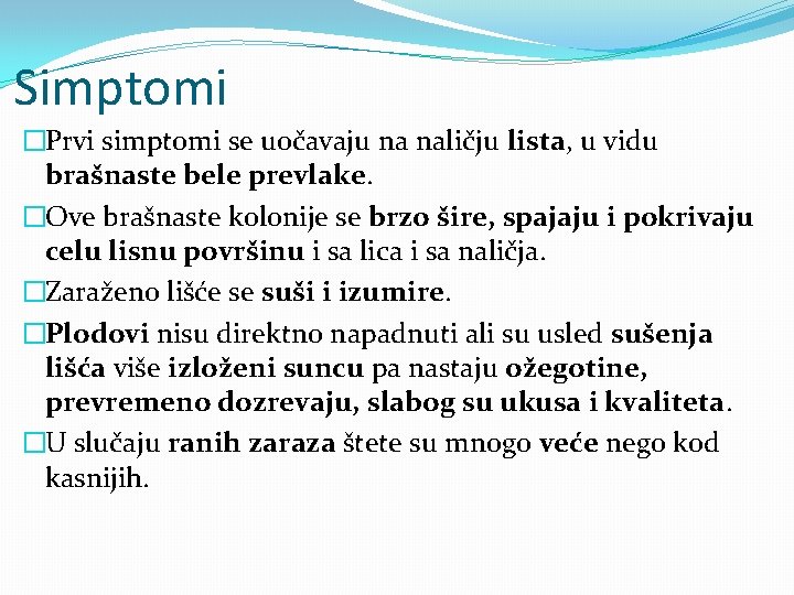 Simptomi �Prvi simptomi se uočavaju na naličju lista, u vidu brašnaste bele prevlake. �Ove