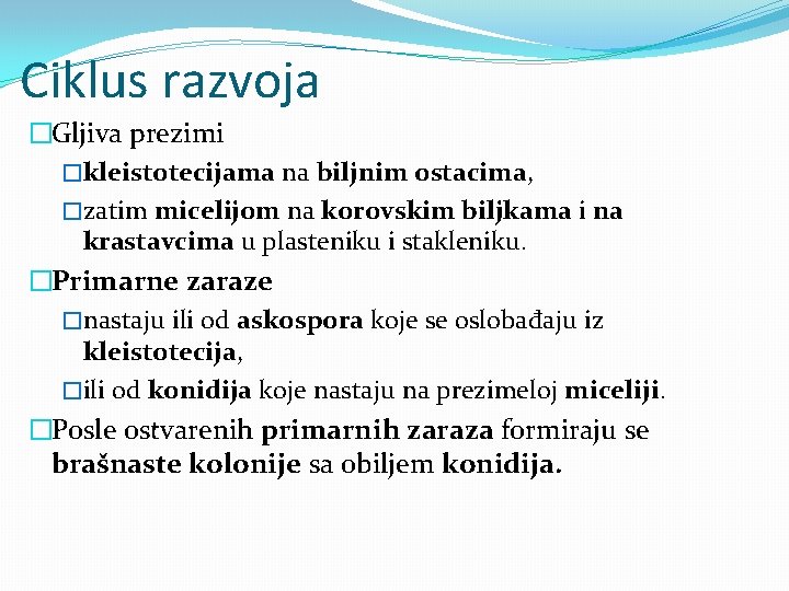 Ciklus razvoja �Gljiva prezimi �kleistotecijama na biljnim ostacima, �zatim micelijom na korovskim biljkama i