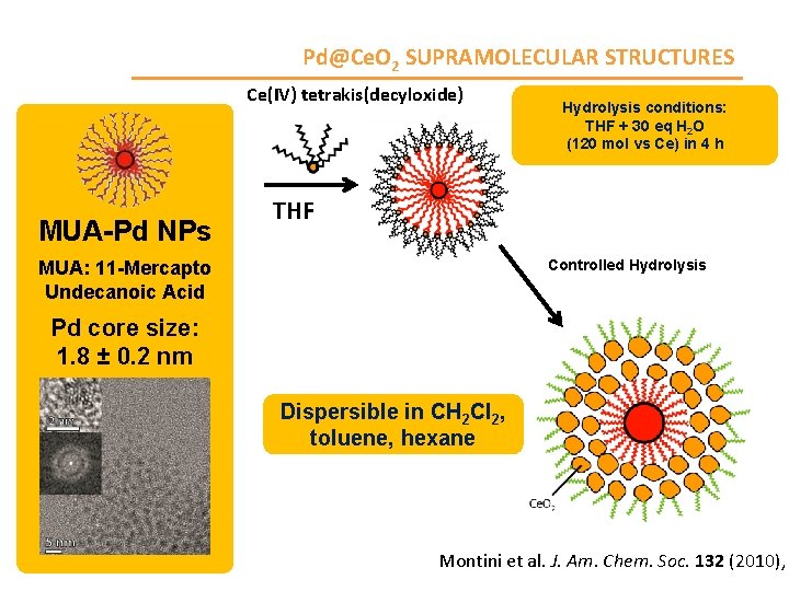 Pd@Ce. O 2 SUPRAMOLECULAR STRUCTURES Ce(IV) tetrakis(decyloxide) MUA-Pd NPs Hydrolysis conditions: THF + 30