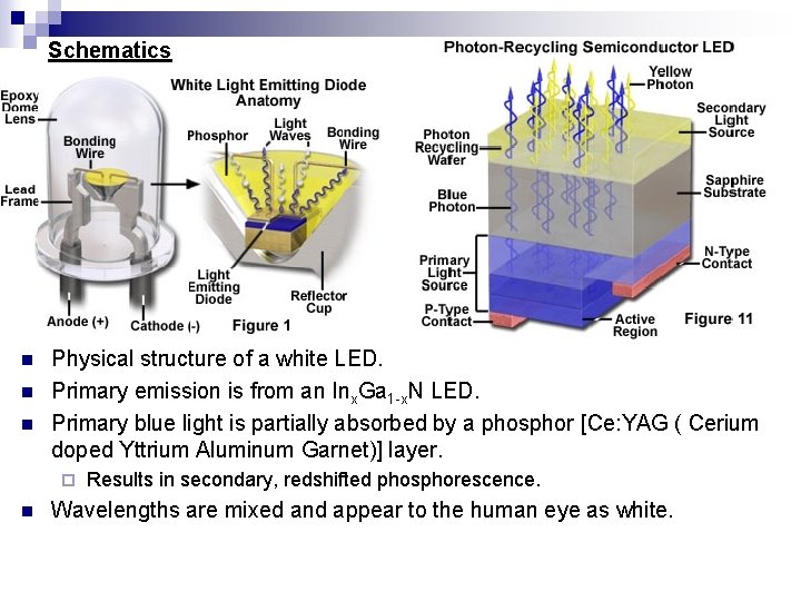 Schematics n n n Physical structure of a white LED. Primary emission is from
