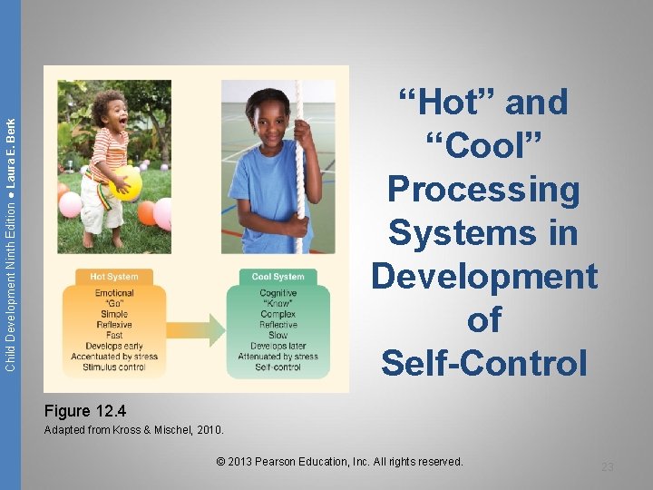 Child Development Ninth Edition ● Laura E. Berk “Hot” and “Cool” Processing Systems in