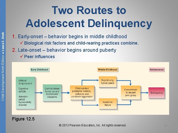 Child Development Ninth Edition ● Laura E. Berk Two Routes to Adolescent Delinquency 1.