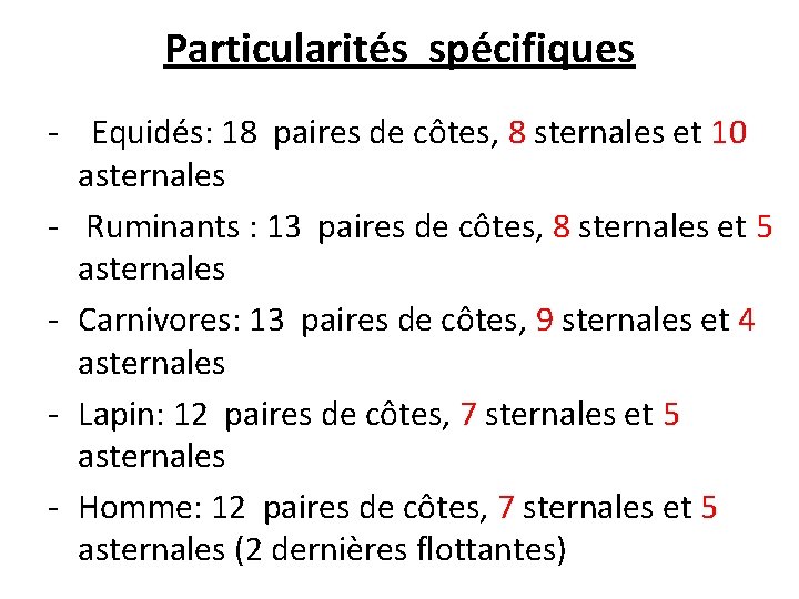 Particularités spécifiques - Equidés: 18 paires de côtes, 8 sternales et 10 asternales -