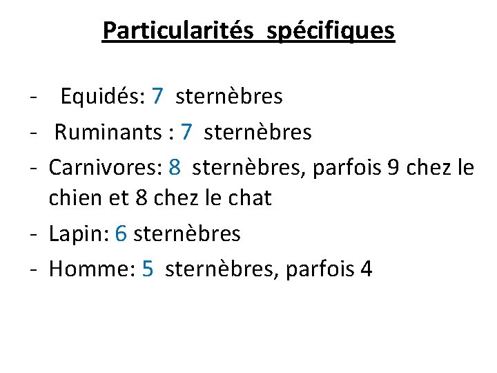 Particularités spécifiques - Equidés: 7 sternèbres - Ruminants : 7 sternèbres - Carnivores: 8