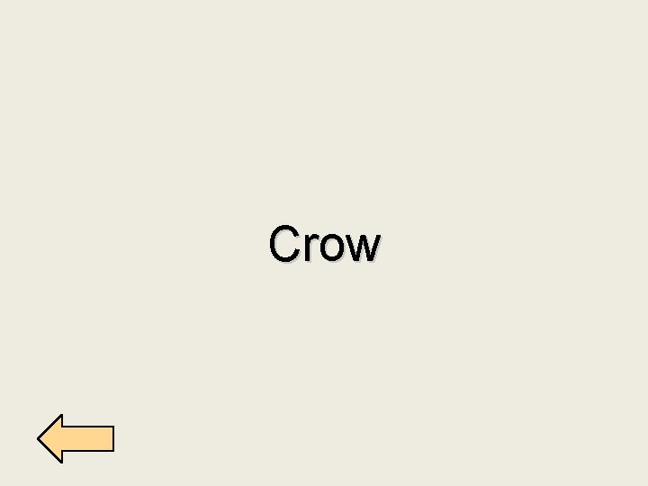 Crow 
