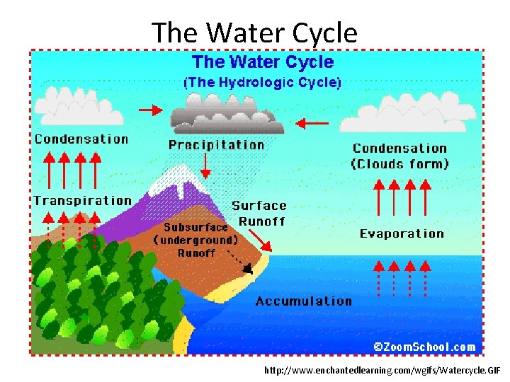 The Water Cycle http: //www. enchantedlearning. com/wgifs/Watercycle. GIF 
