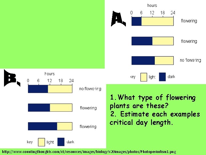 1. What type of flowering plants are these? 2. Estimate each examples critical day
