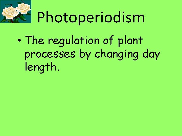 Photoperiodism • The regulation of plant processes by changing day length. 