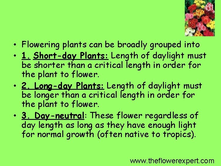  • Flowering plants can be broadly grouped into • 1. Short-day Plants: Length