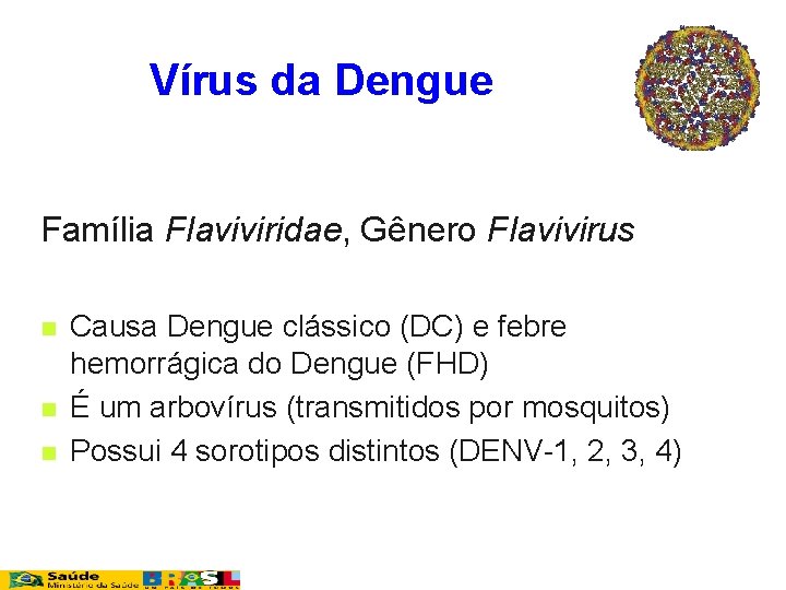 Vírus da Dengue Família Flaviviridae, Gênero Flavivirus n n n Causa Dengue clássico (DC)