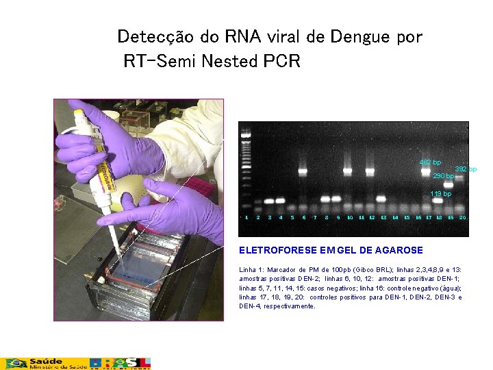 Detecção do RNA viral de Dengue por RT-Semi Nested PCR 482 bp 290 bp