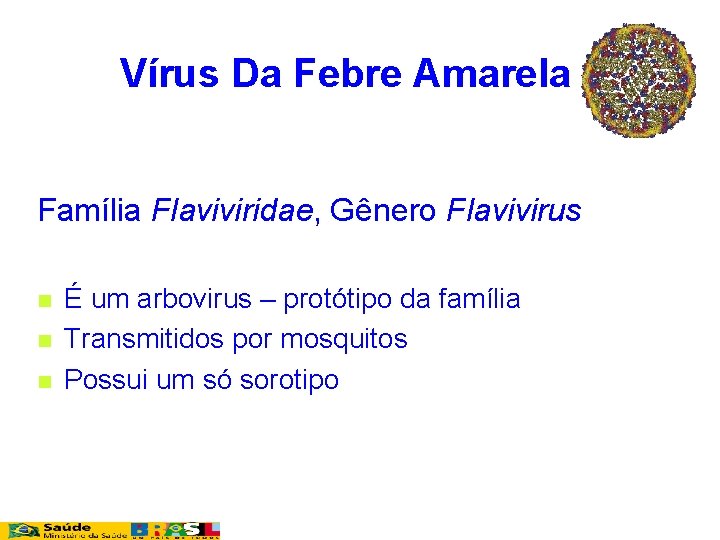 Vírus Da Febre Amarela Família Flaviviridae, Gênero Flavivirus n n n É um arbovirus