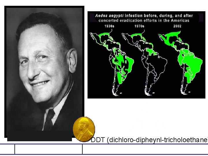 Paul Hermann Müller (1899 -1965 1939 P Müller ) DDT (dichloro-dipheynl-tricholoethane) discovery of the