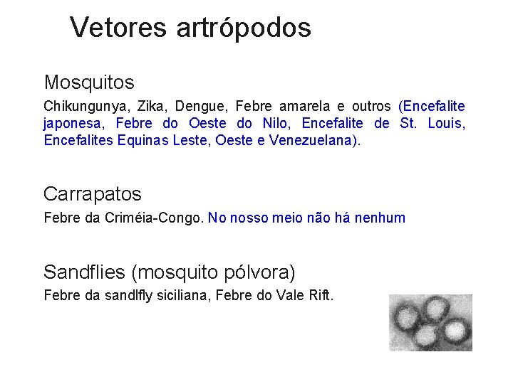Vetores artrópodos Mosquitos Chikungunya, Zika, Dengue, Febre amarela e outros (Encefalite japonesa, Febre do