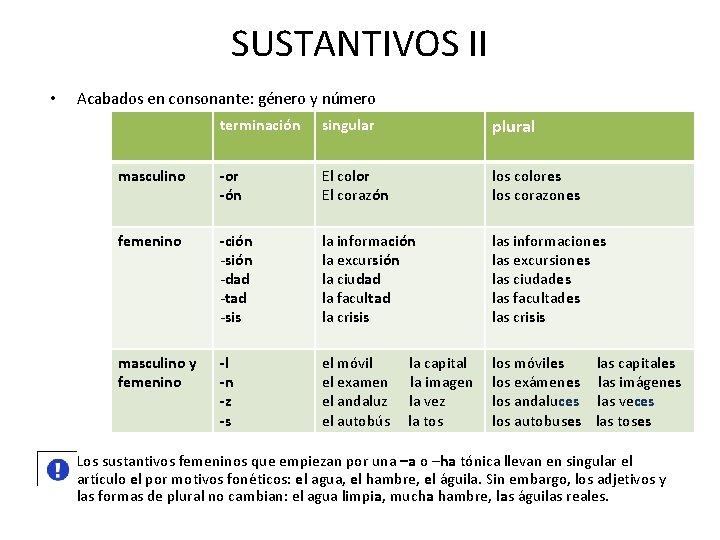 SUSTANTIVOS II • • Acabados en consonante: género y número terminación singular plural masculino