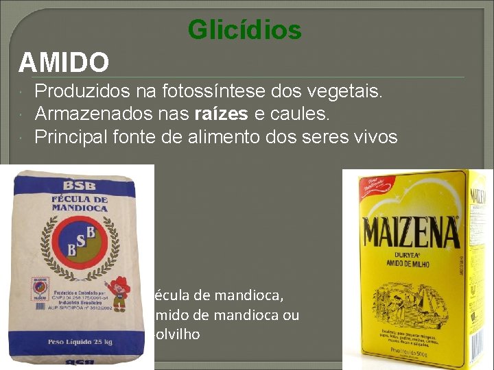 Glicídios AMIDO Produzidos na fotossíntese dos vegetais. Armazenados nas raízes e caules. Principal fonte