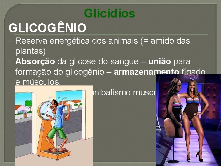 Glicídios GLICOGÊNIO Reserva energética dos animais (= amido das plantas). Absorção da glicose do