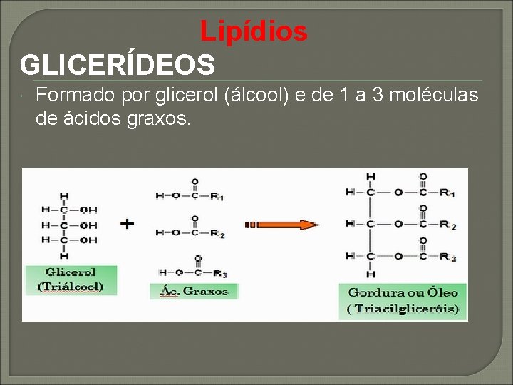 Lipídios GLICERÍDEOS Formado por glicerol (álcool) e de 1 a 3 moléculas de ácidos