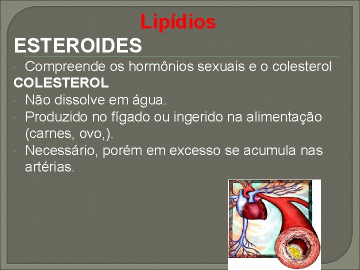 Lipídios ESTEROIDES Compreende os hormônios sexuais e o colesterol COLESTEROL Não dissolve em água.