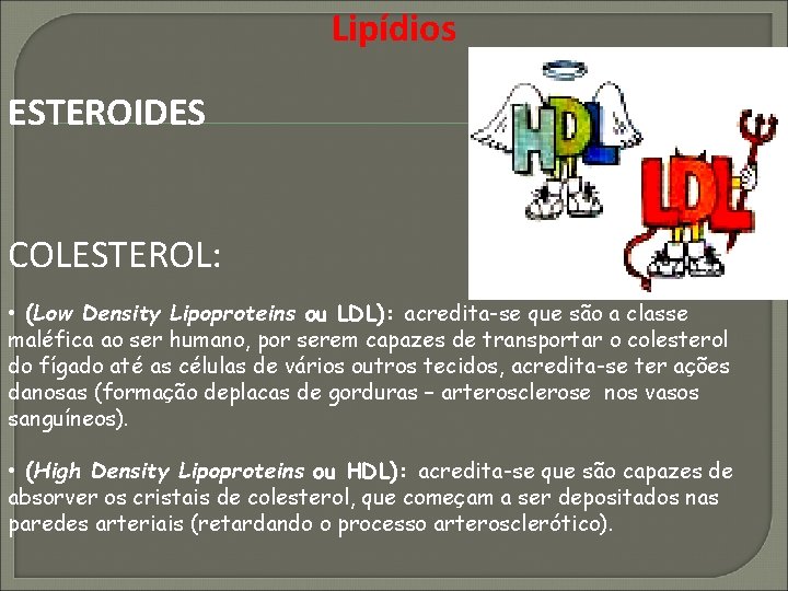 Lipídios ESTEROIDES COLESTEROL: • (Low Density Lipoproteins ou LDL): acredita-se que são a classe