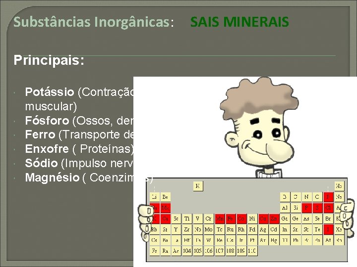 Substâncias Inorgânicas: Principais: Potássio (Contração muscular) Fósforo (Ossos, dentes) Ferro (Transporte de O 2)