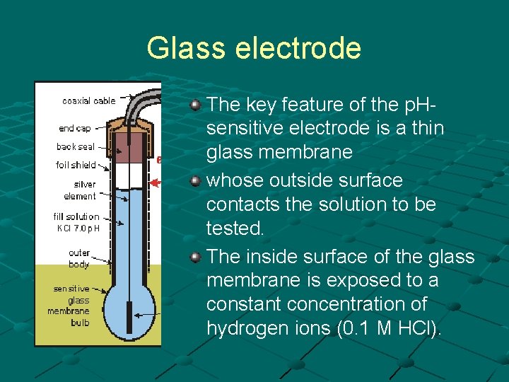 Glass electrode The key feature of the p. Hsensitive electrode is a thin glass